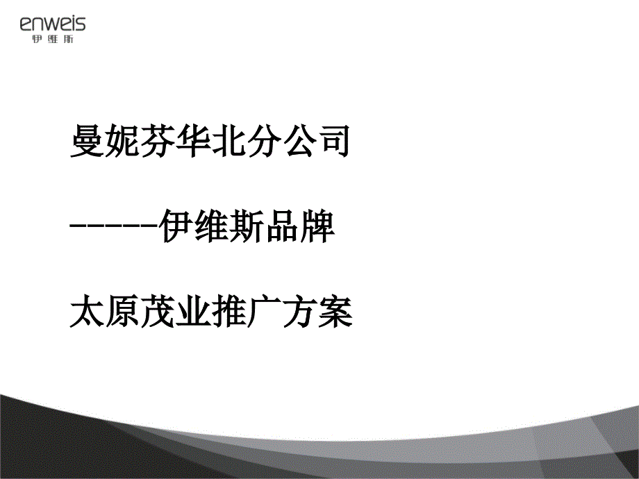 伊维斯品牌推广方案研讨_第1页