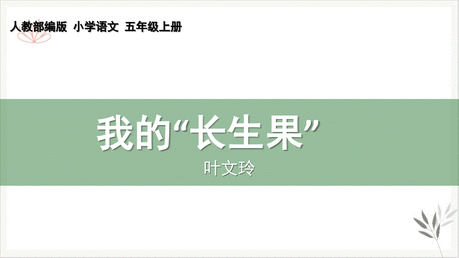 我的“长生果”优选课件_第1页