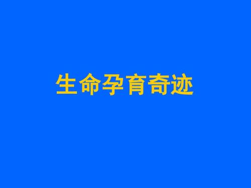 生命孕育的知識(shí)-課件