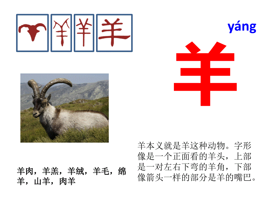 与“羊”有关的汉字_第1页