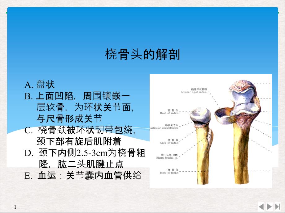 汇报桡骨小头骨折课件_第1页