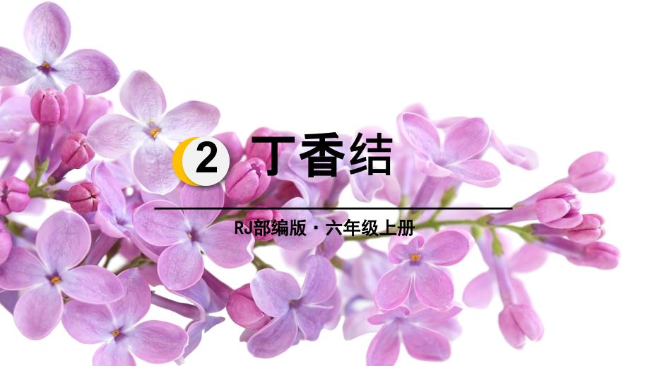 部编《丁香结》教学课件4_第1页