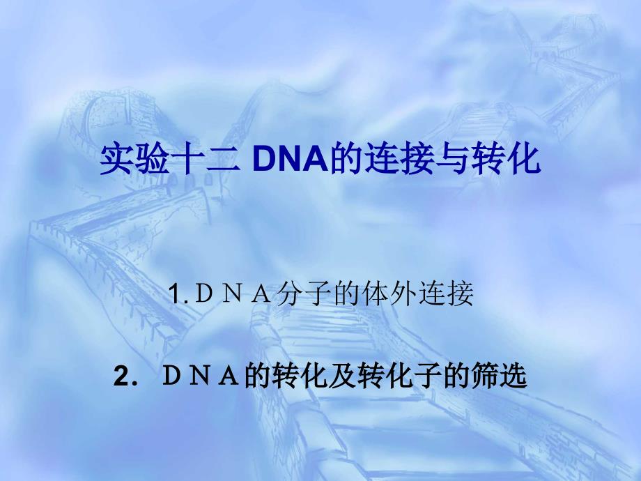 实验十二DNA的连接与转化_第1页