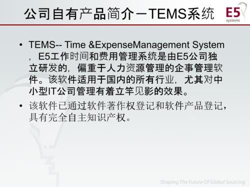 公司自有產(chǎn)品簡介-TEMS系統(tǒng)-PowerPointP