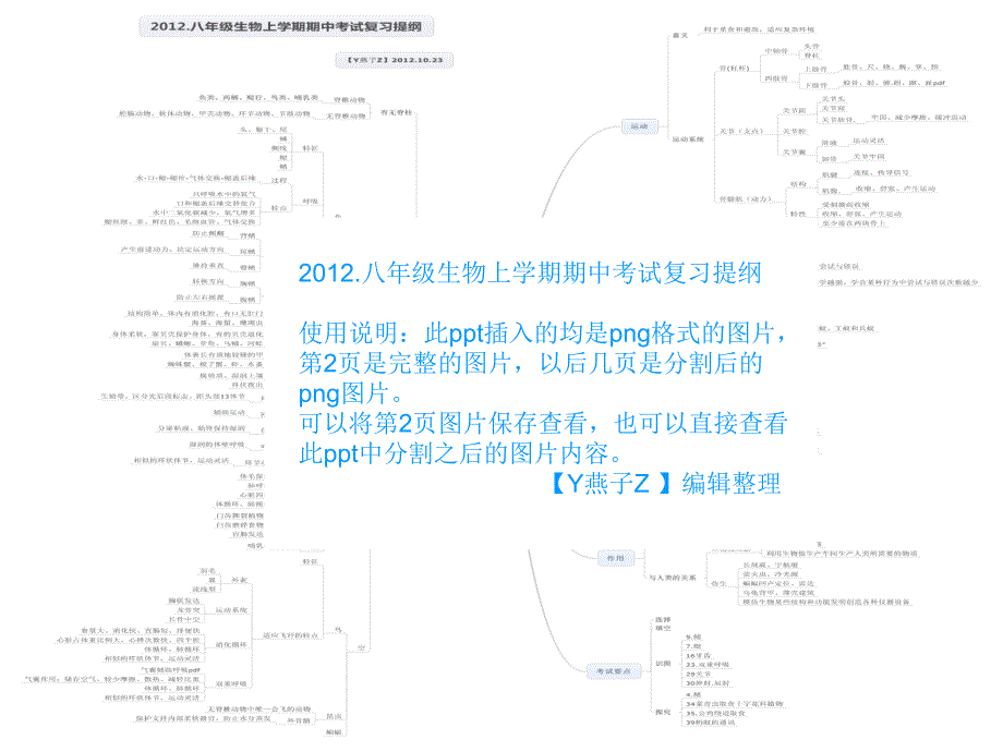 思维导图生物八年级上学期期中考试复习提纲_第1页