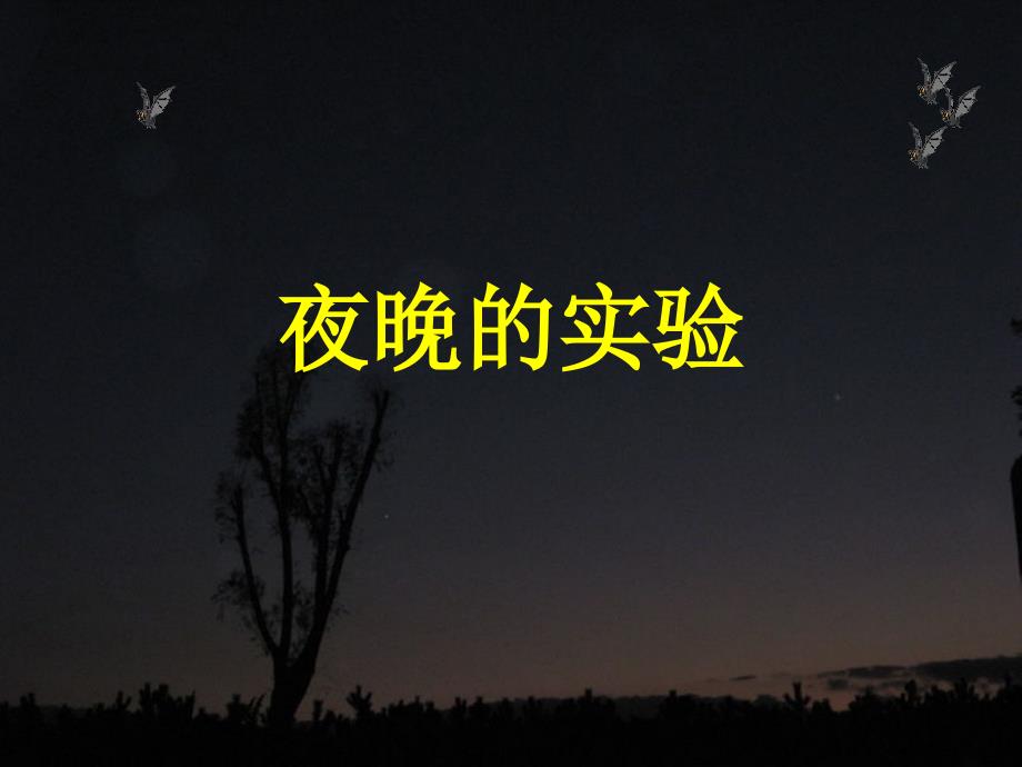 12夜晚的實(shí)驗(yàn) (2)_第1頁