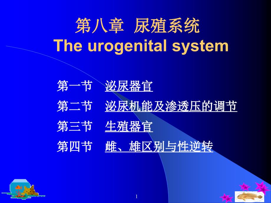 第八章尿殖系统Theurogenitalsystem课件_第1页