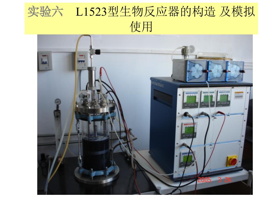 实验五L523型生物反应器发酵罐的使用_第1页