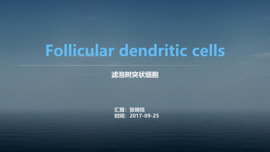 滤泡树突状细胞(FDC)专题汇报_第1页