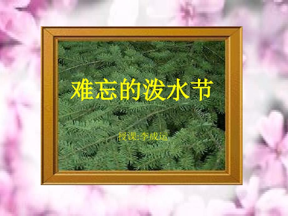 人教版小学二年级语文《难忘的泼水节》_第1页