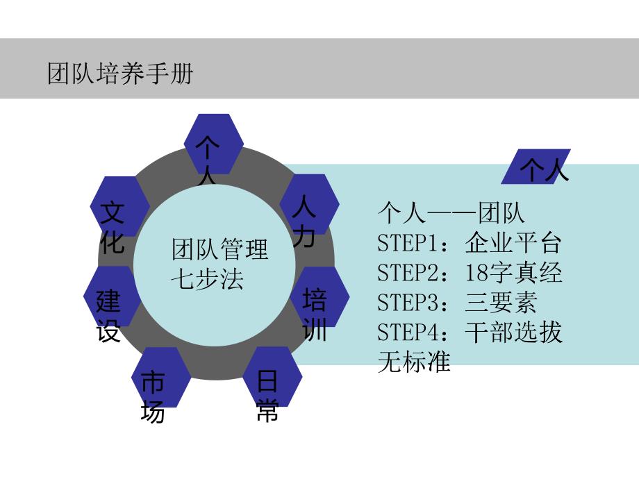 团队培养手册_第1页