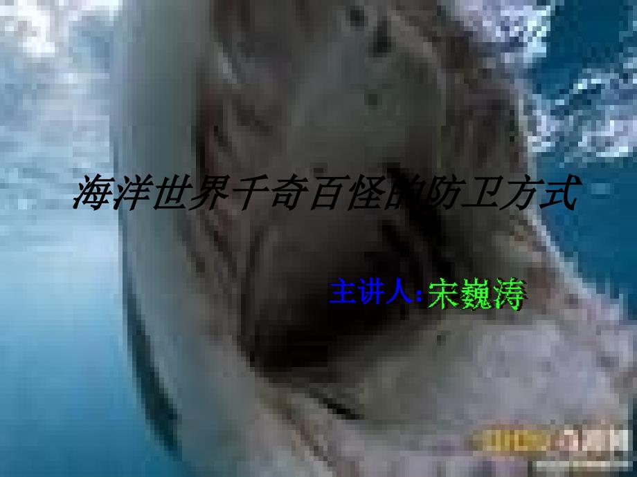 海洋世界千奇百怪_第1页