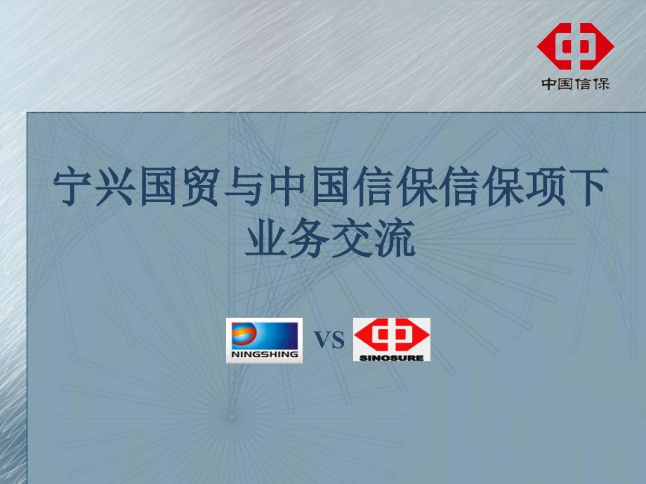 宁兴国贸与中国信保信保项下业务交流_第1页