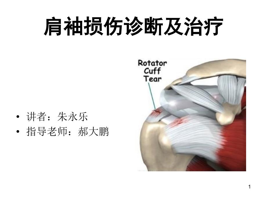 肩袖损伤诊断与治疗_第1页