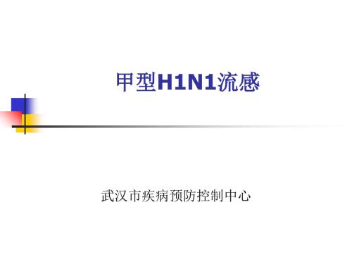 甲型H1N1流感基本情況