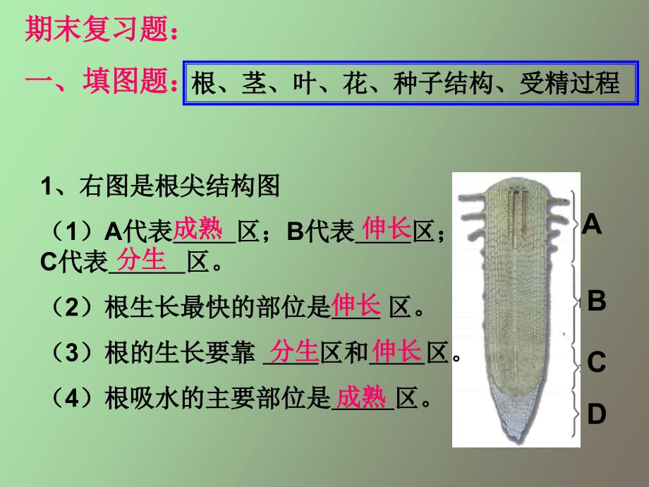 生物七上期末复习题_第1页