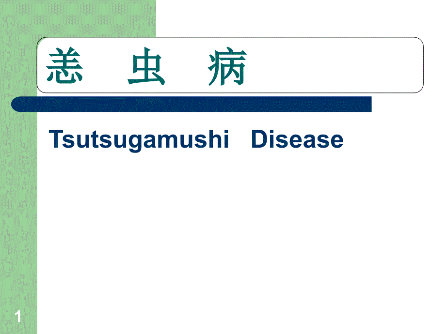 立克次體恙蟲病(課件)_第1頁