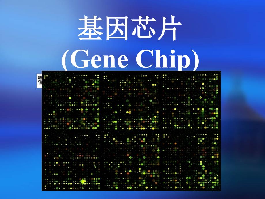 基因芯片的分类与应用_第1页