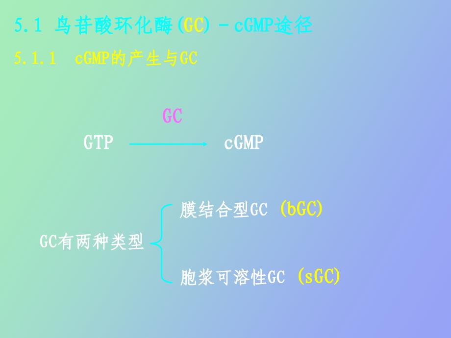 生物化学细胞内信息传递途径_第1页