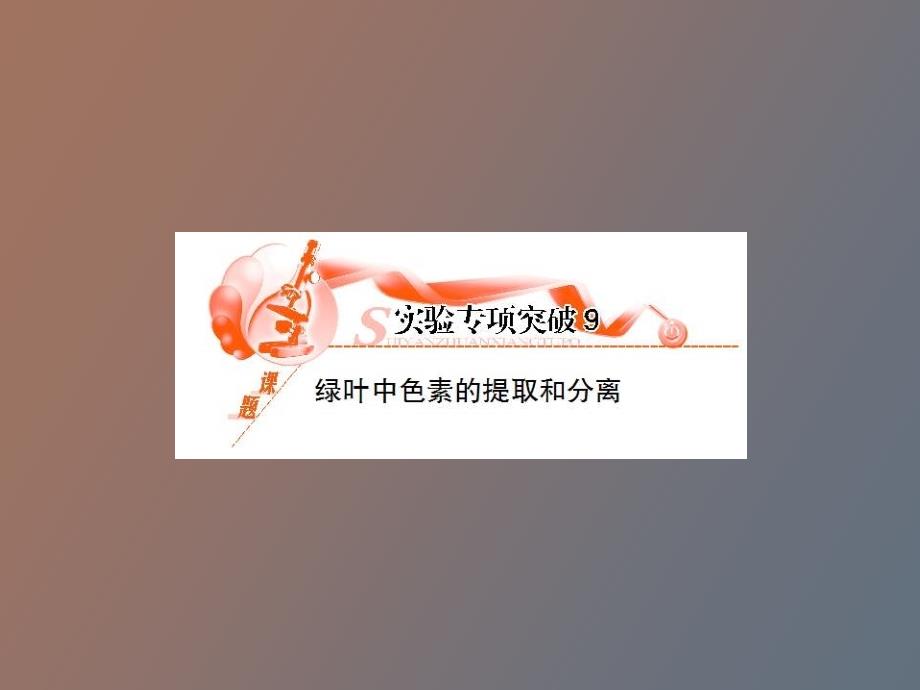 绿叶中色素的提取和分离_第1页