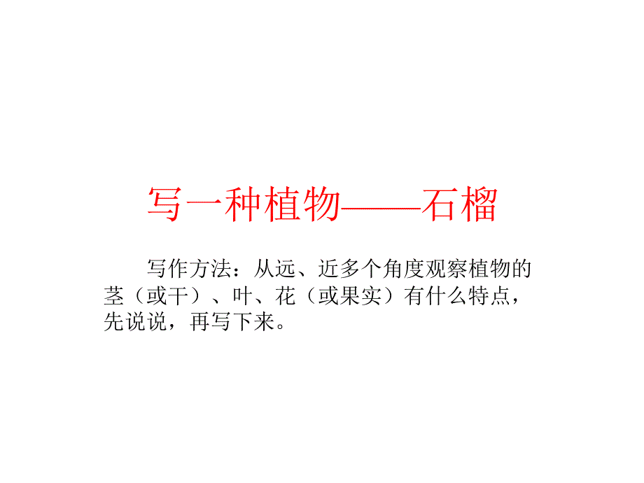 蘇教版三年級(jí)上冊(cè)語文《石榴》優(yōu)秀課件_第1頁