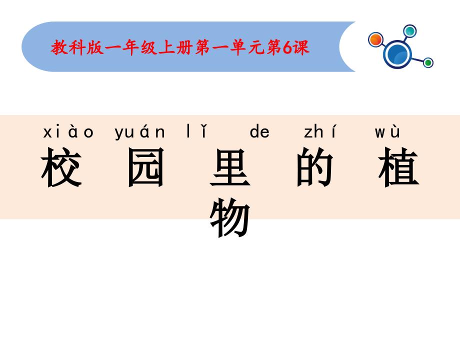 科学一年级上1.6校园里的植物_第1页