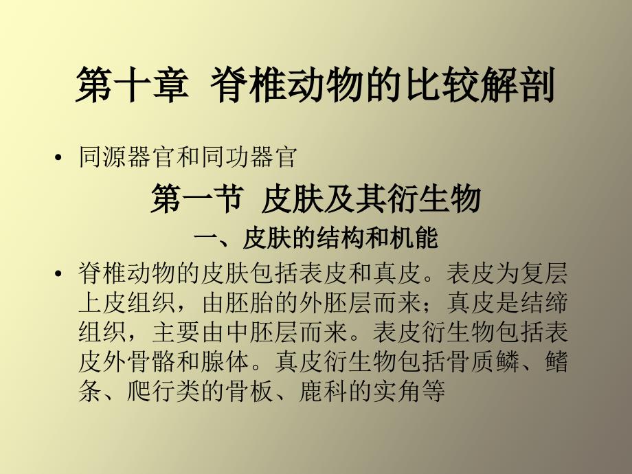 脊椎動物的比較解剖_第1頁