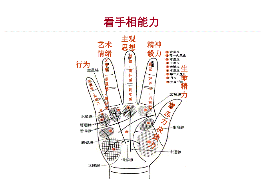 看手相相能力_第1頁