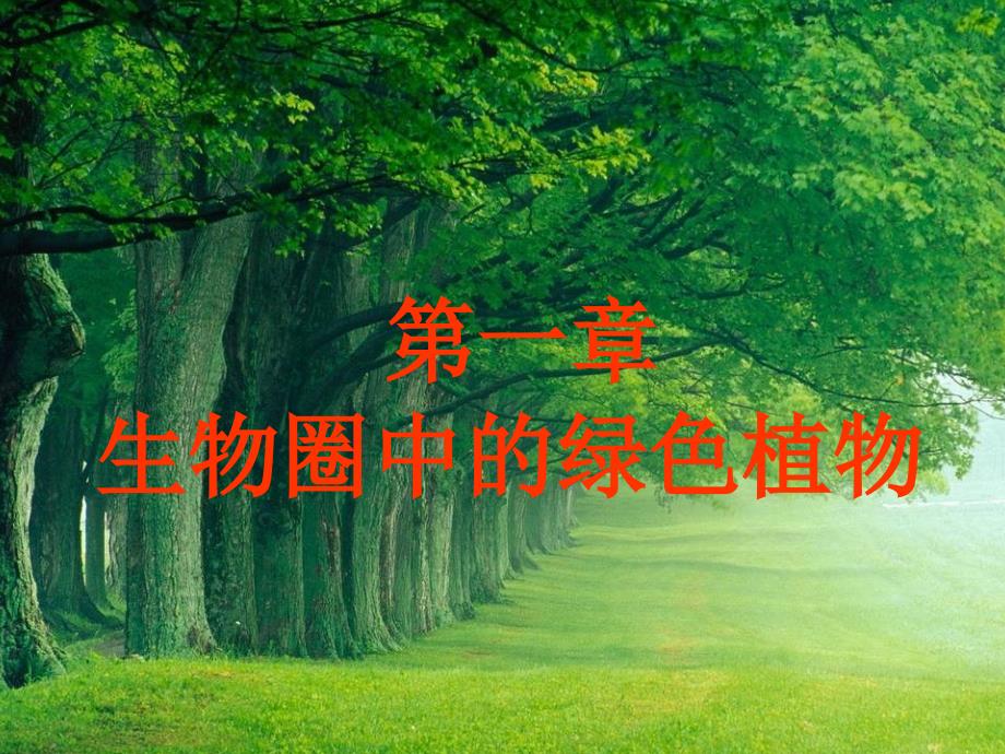 生物圈中的绿色植物复习_第1页