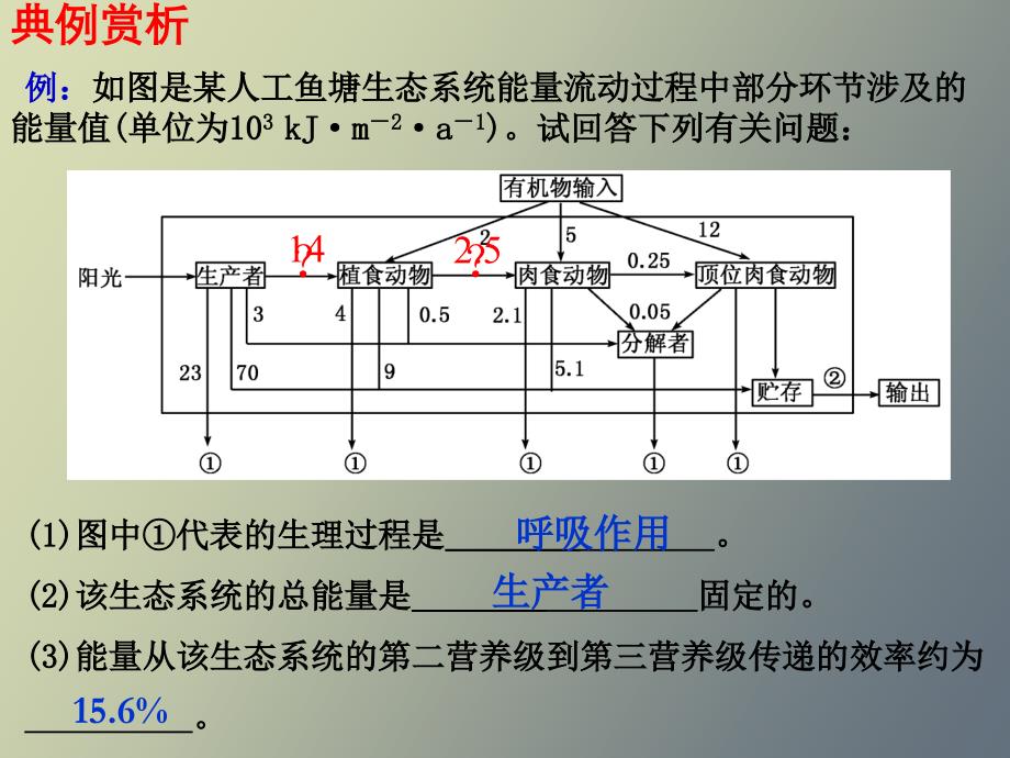 生態(tài)系統(tǒng)的物質(zhì)循環(huán)、信息傳遞_第1頁