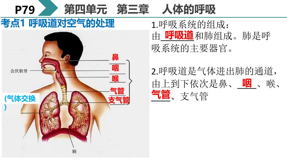 第一节呼吸 (2)(精品)_第1页