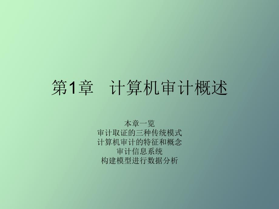 计算机审计概述_第1页