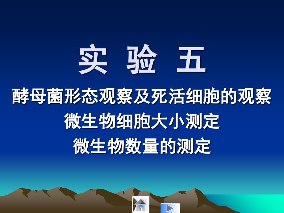 酵母菌形态观察及死活细胞的观察_第1页