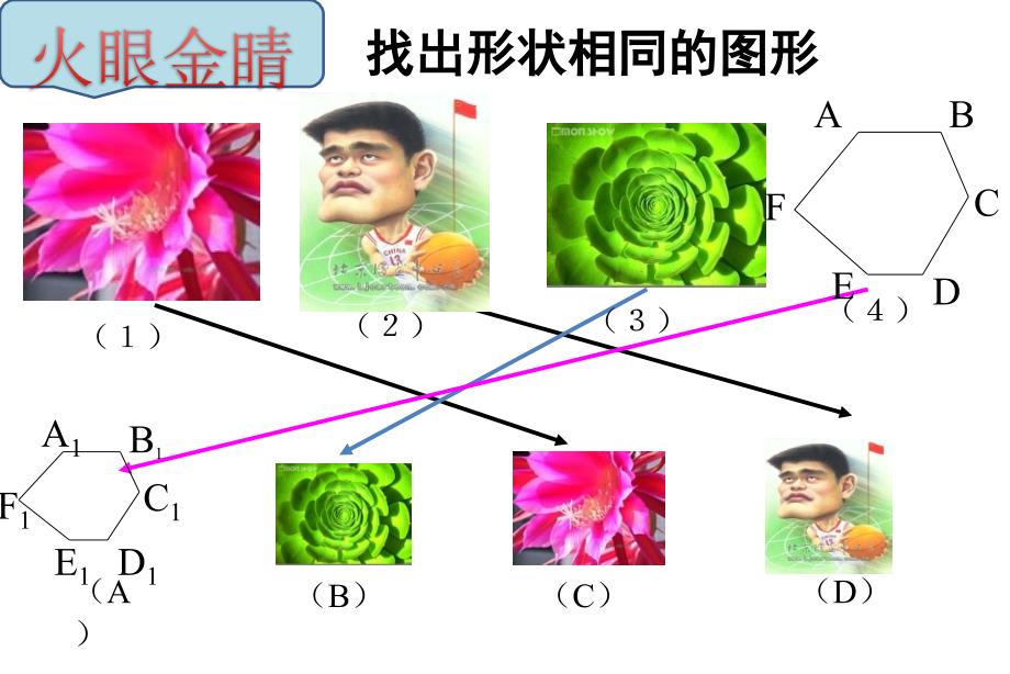 相似多边形 (8)(精品)_第1页