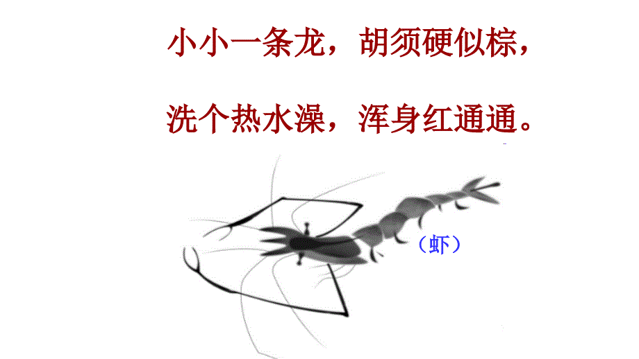 小虾-教学讲解课件_第1页