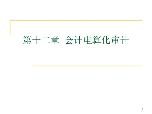 第十二章 會計電算化審計