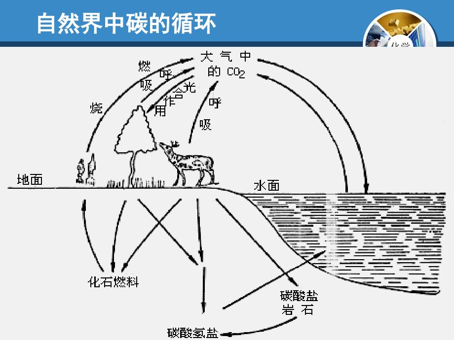 5.4古生物的“遗产”——化石燃料 (4)(精品)_第1页