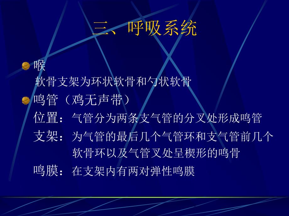 鸡的解剖-呼吸系统-泌尿系统-生殖系统_第1页