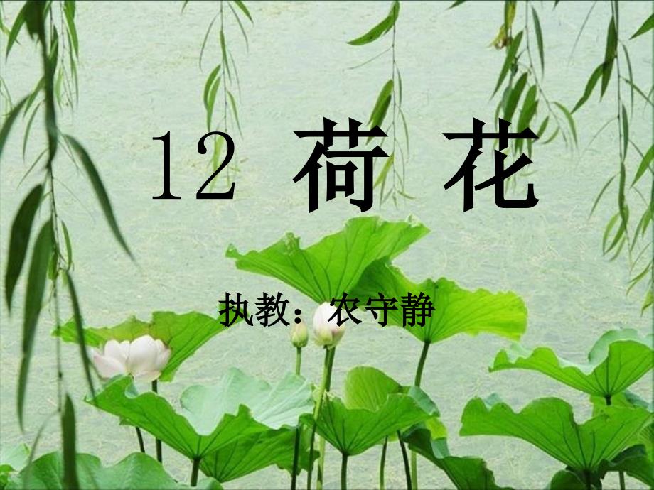 語文蘇教版三年級(jí)下冊(cè)12 荷花 課件_第1頁