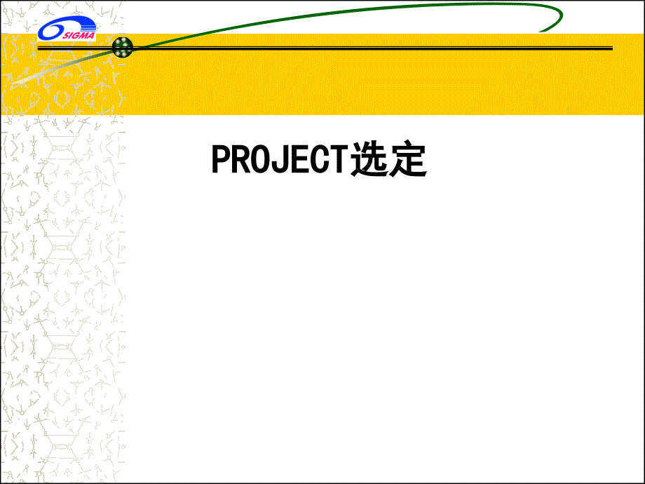 成功的Project和CTQ选定_第1页