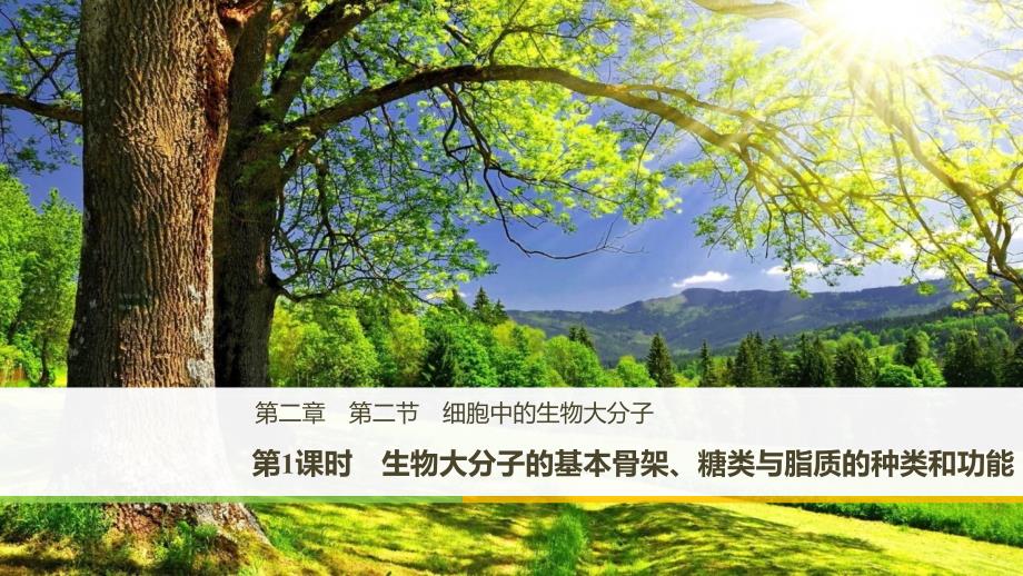 第三节有机化合物及生物大分子_第1页