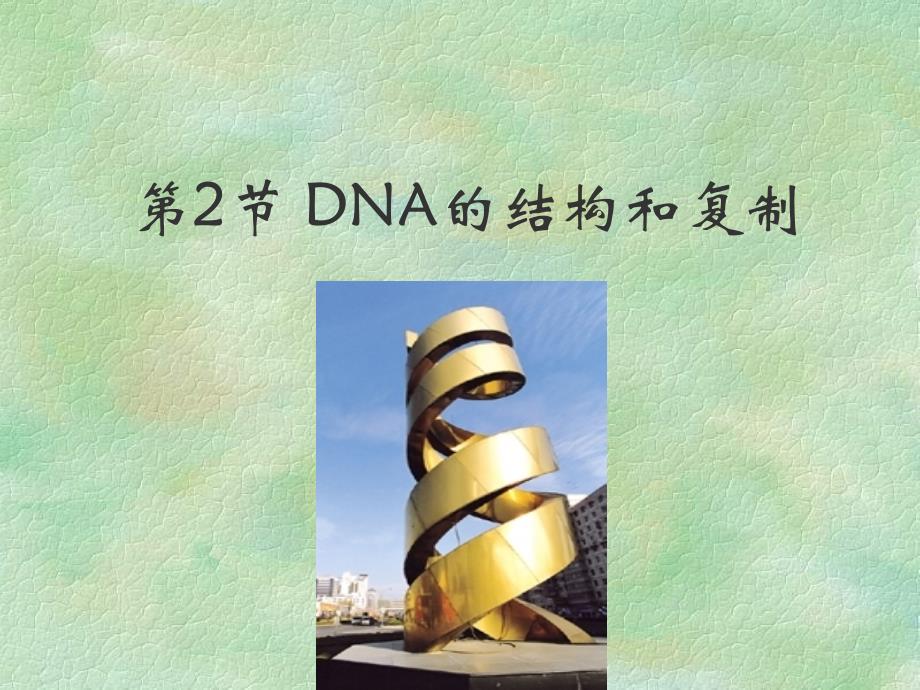 DNA分子的结构_第1页