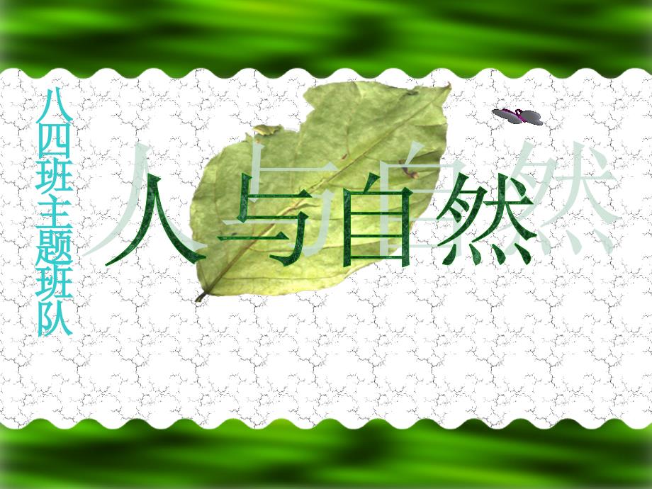 初中《人与自然》主题班会_第1页