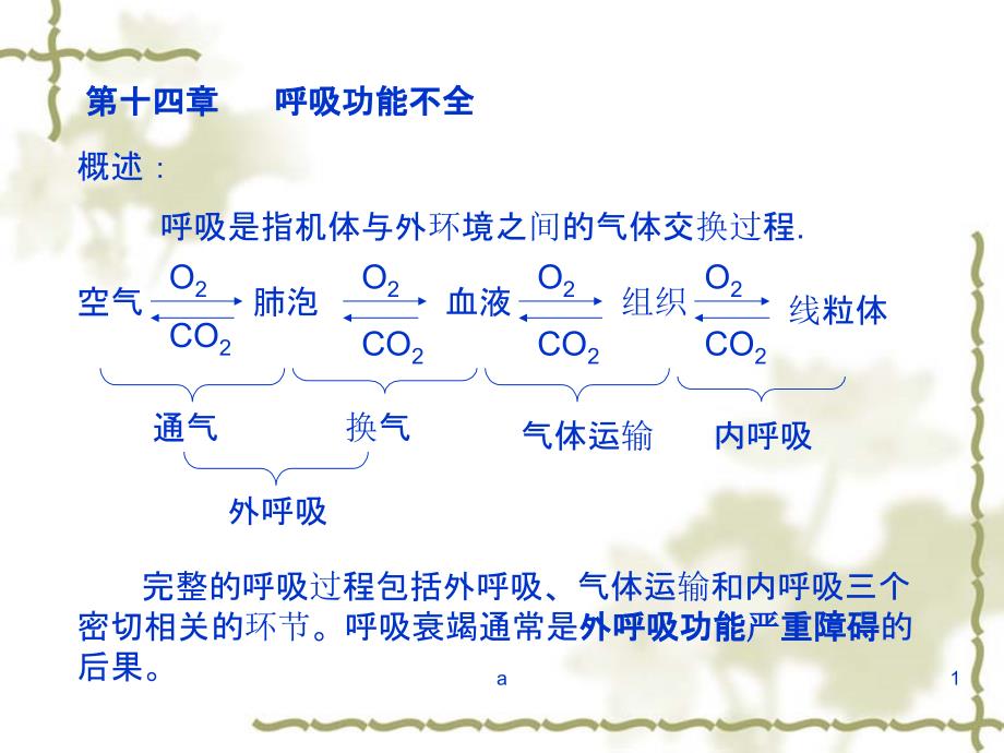 《呼吸功能不全》课件_第1页