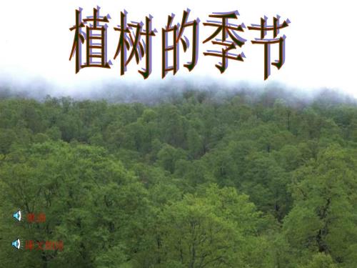 北師大版小學(xué)二年級下冊語文《植樹的季節(jié)》課件PPT