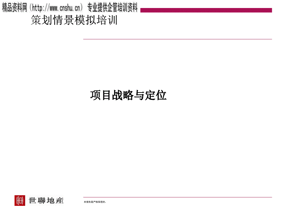 房地产项目战略与物业发展_第1页