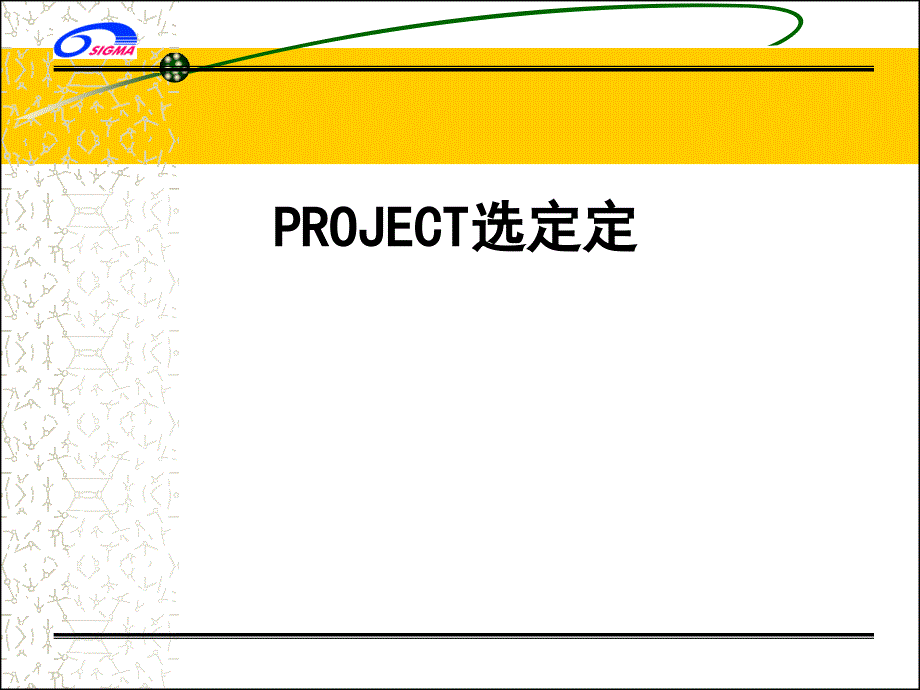 成功的Project选定_第1页