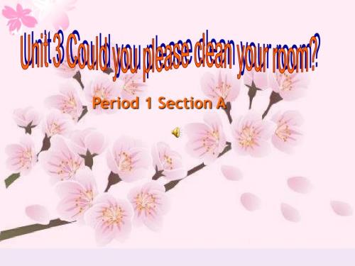 英語人教版八年級下冊could you please your room