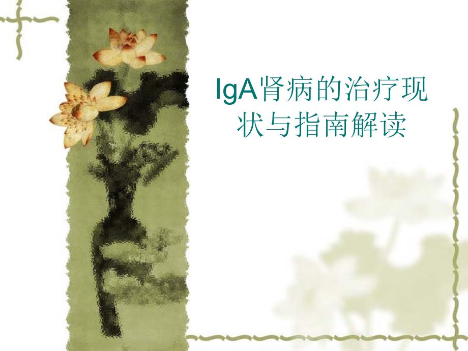 IgA肾病指南解读课件_第1页