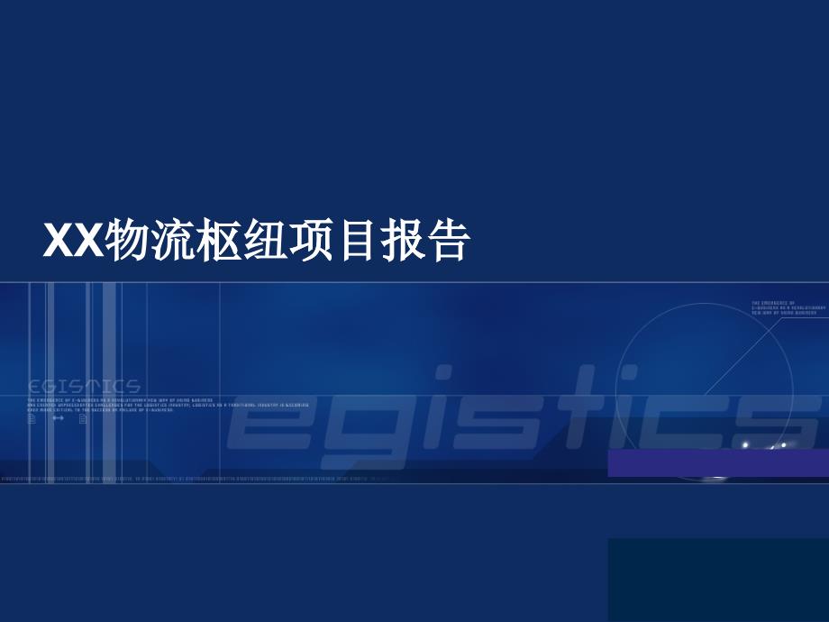 某某物流枢纽项目分析报告_第1页